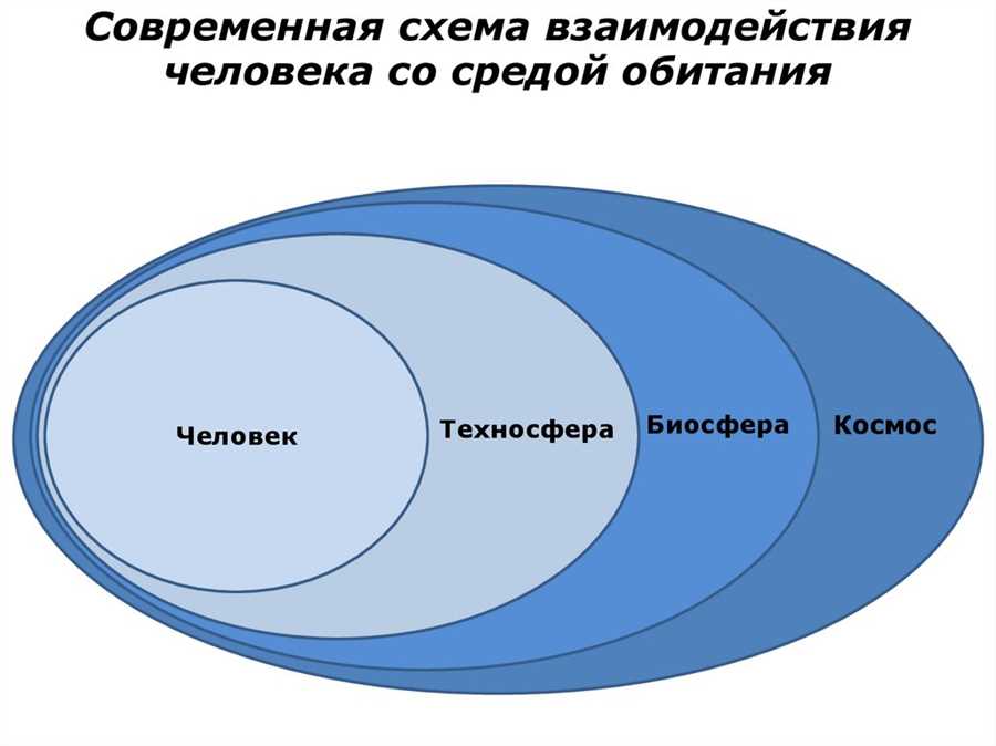 Возможные экологические проблемы при строительстве мостов